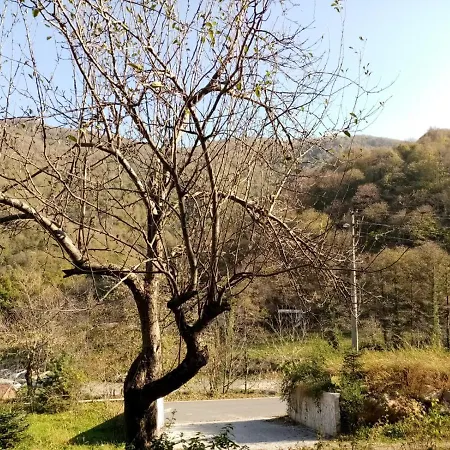 ıstanbuldere Mountain House Sakarya (Marmara)