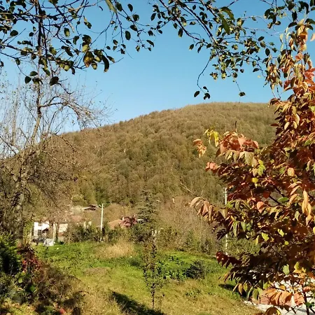 ıstanbuldere Mountain House Chalet Sakarya (Marmara)