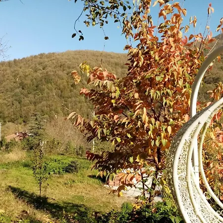 ıstanbuldere Mountain House Sakarya (Marmara)